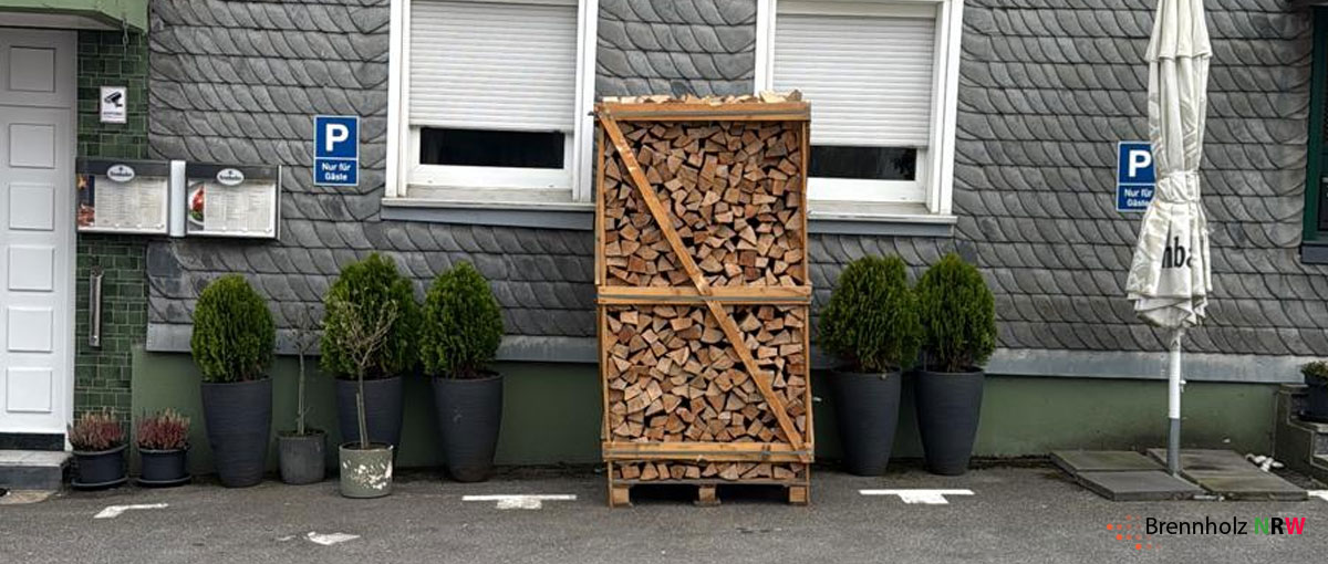 ratgeber-kaminholz